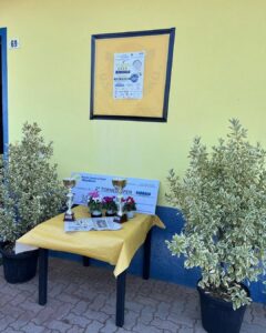 Immagine WhatsApp 2024-12-07 ore 11.43.23_793792ef